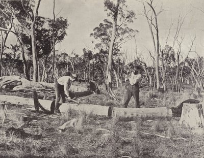 Timber Splitters at Work by English Photographer