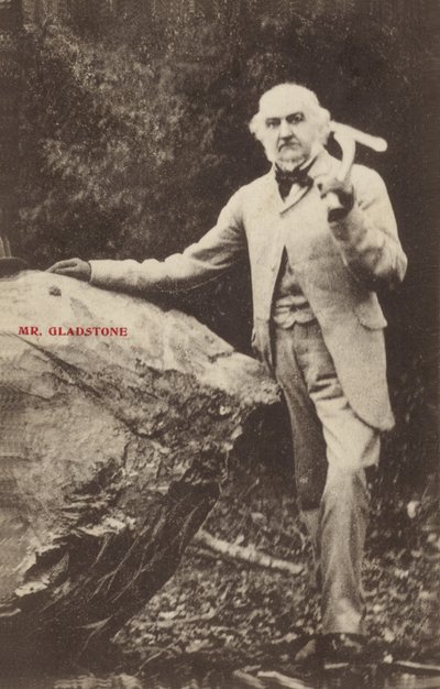 William Ewart Gladstone by English Photographer