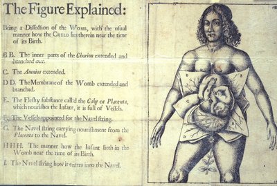The Figure Explained by English School