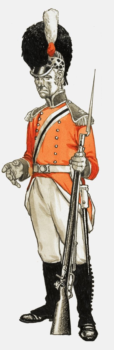 92nd Hon. Artillery Co. Infantry Div. Private 1803 by English School