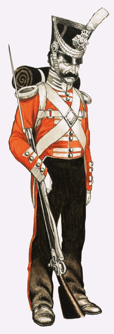 96th Foot Private 1836 by English School