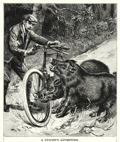 A Cyclist