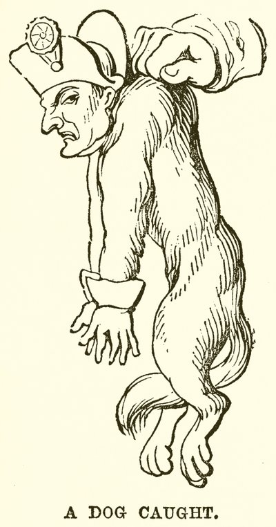 A Dog Caught by English School