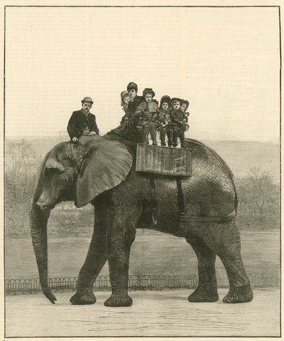 A Farewell Ride on Jumbo by English School