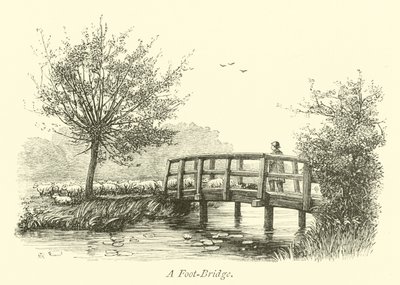A Foot-Bridge by English School