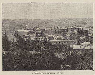 A General View of Johannesburg by English School