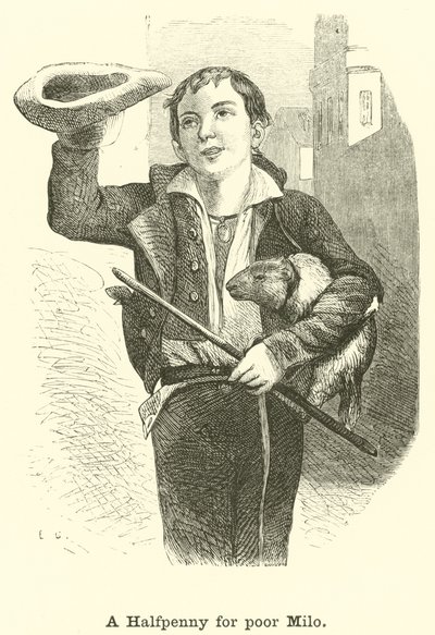 A Halfpenny for Poor Milo by English School