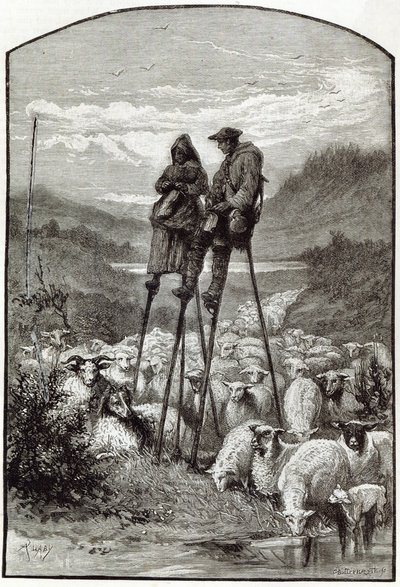 A Pastoral in the Landes, from 