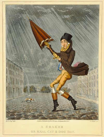 A Soaker or Real Cat and Dog Day, engraved by G. Hunt, published by Thomas McLean, London, 1827 by English School