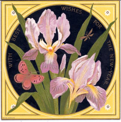 A Victorian New Year Card with Irises and Butterfly by English School