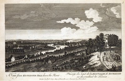 A View from Richmond Hill down the River, printed for Robert Sayer Map and Printseller, Fleet Street by English School