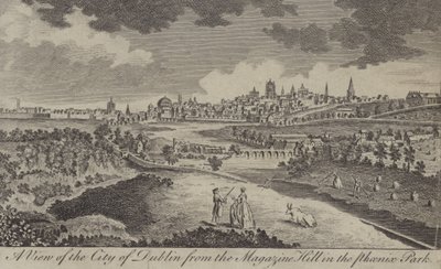 A View of the City of Dublin from the Magazine Hill in the Phoenix Park by English School