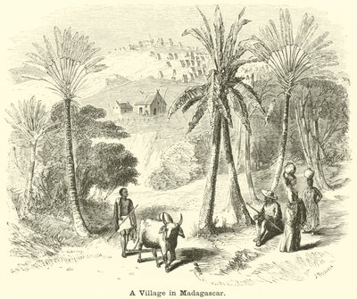 A Village in Madagascar by English School