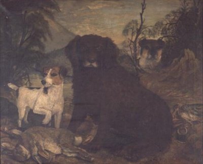 A Water Spaniel and Two Jack Russells by the Day
