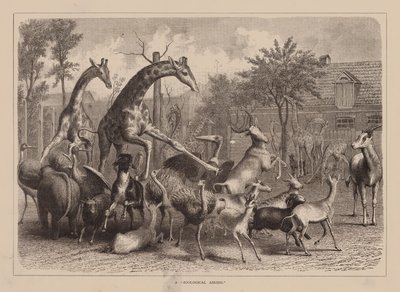A "Zoological Airing" by English School