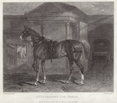 A Celebrated Cab Horse by English School