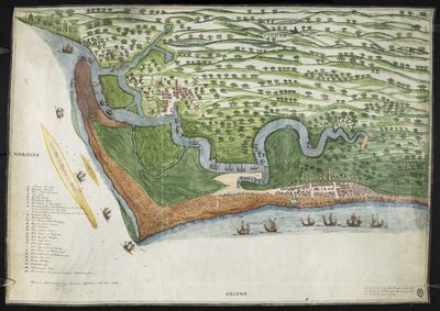 A coloured facsimile copy of a bird