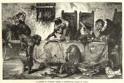 A court of justice from a Darwinian point of view by English School