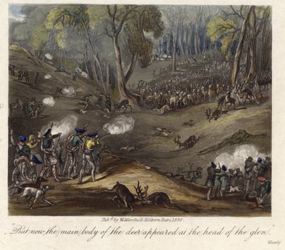 A Deer Hunt by English School