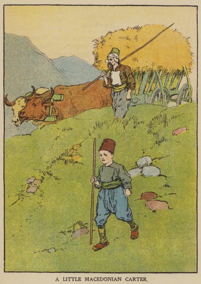 A Little Macedonian Carter by English School