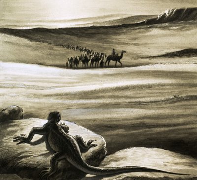 A Lizard Watching a Camel Train Crossing the Desert by English School