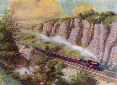 A Long Passenger Train by English School