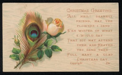 A Peacock Feather and a Rose, Christmas Greetings Card by English School