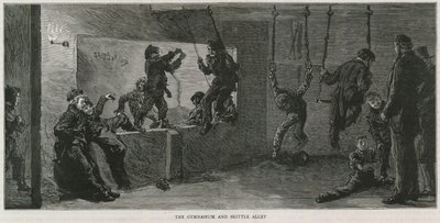 A play room for the poor in Islington: The gymnasium and skittle alley by English School
