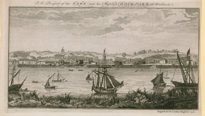 A Prospect of the Town and His Majesty