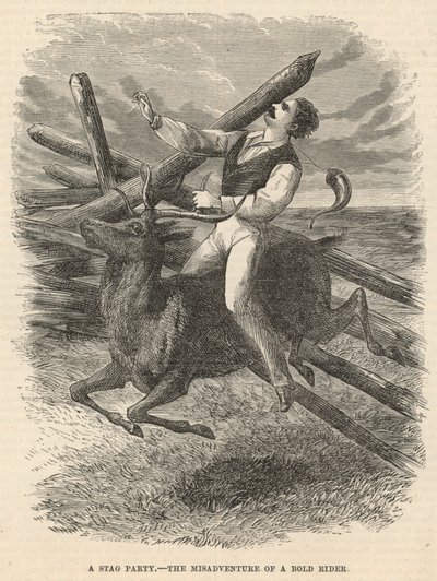 A Stag Party, the Misadventures of a Bold Rider by English School