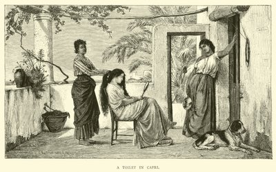 A Toilet in Capri by English School