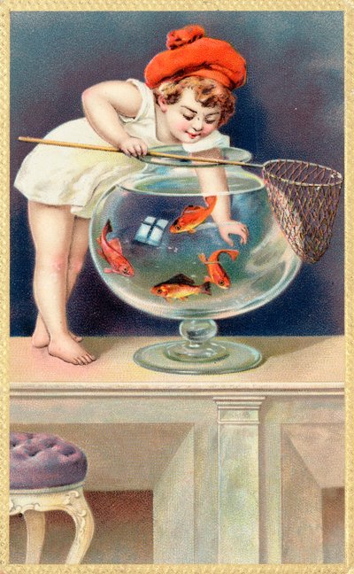 A young child with a fishing net reaches into a goldfish bowl by English School