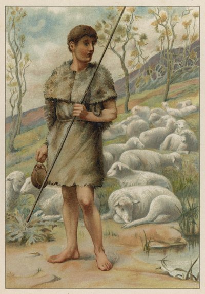 Abel and His Sheep by English School