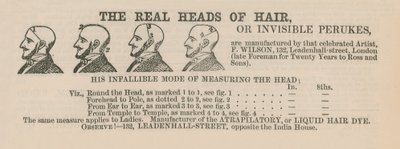 Advert for Wigs by English School