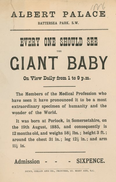 Advert for the Albert Palace, Battersea Park, London by English School