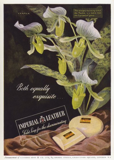 Advertisement for Cussons Imperial Leather soap by English School