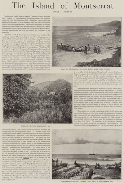 Advertisement, the Island of Montserrat, West Indies by English School