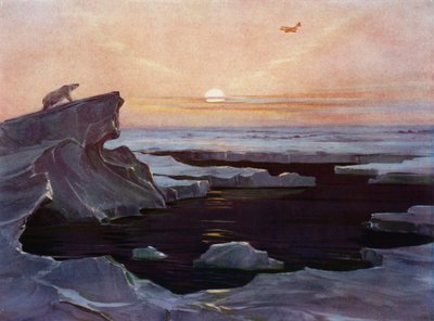 Aeroplane flying above the Arctic by English School