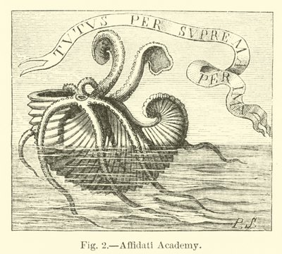 Affidati Academy by English School