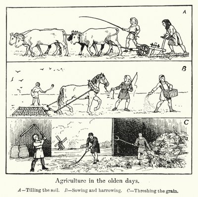 Agriculture in the olden days by English School