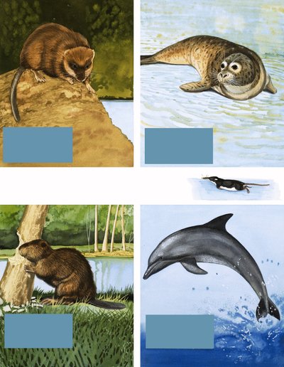 All Sorts of Water Dwellers by English School