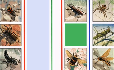 All Sorts of Insects by English School