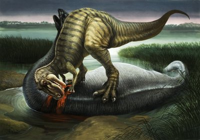 Allosaurus Eating an Apatosaurus by English School