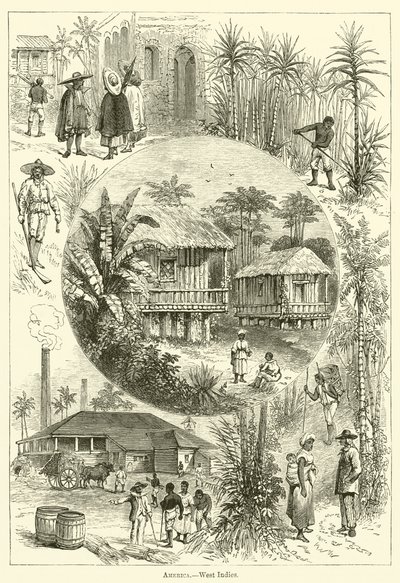 America, West Indies by English School