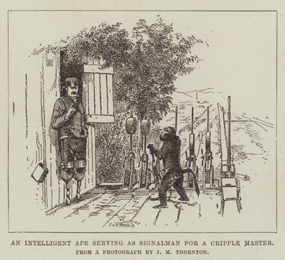 An Intelligent Ape Serving as Signalman for a Cripple Master by English School