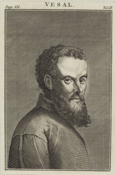 Andreas Vesalius by English School