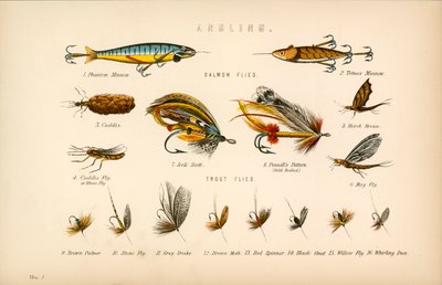 Angling by English School