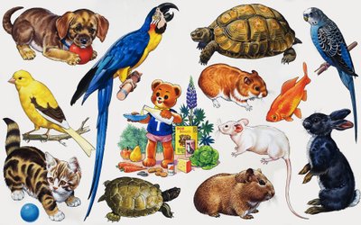 Animal montage by English School