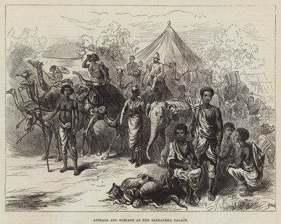 Animals and Nubians at the Alexandra Palace by English School