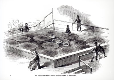 Annie Paxton on the Victoria regia waterlily in the Great Conservatory at Chatsworth, 1849 by English School